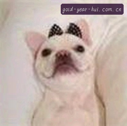 周强